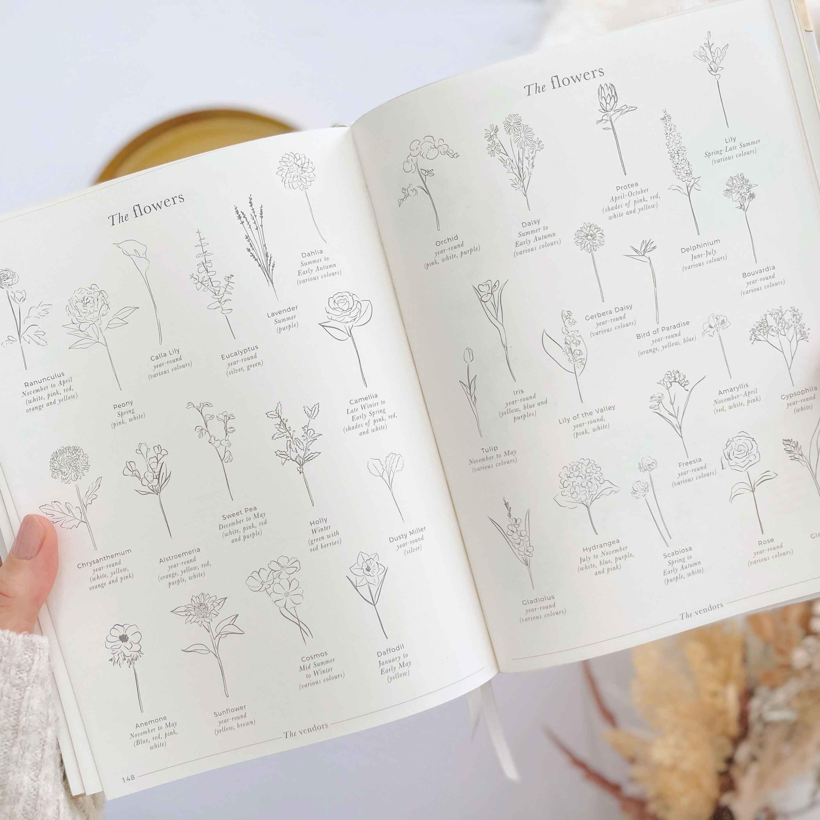 Ivory Cloth Wedding Planner Book with Gold Foil